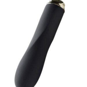 Dorr Foxy Mini Wave: Minivibrator